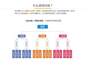北京軟件開發(fā) 雙軌三三制直銷系統(tǒng)定制全解析